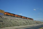 BNSF 8017